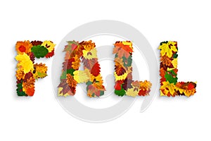 Word "FALL" made with colorful hawthorn, maple, alder, oak fall leaves, physalis lanterns